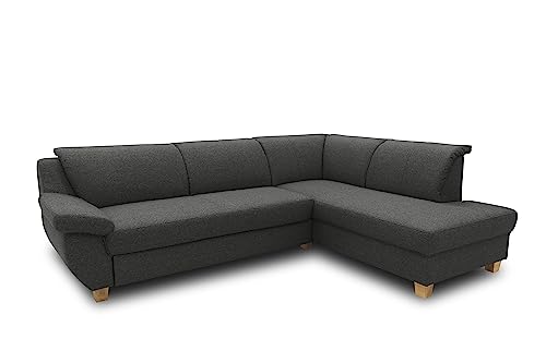 DOMO. collection Ecksofa Panama, klassisches Ecksofa in L-Form, Eckcouch, Sofa Couch, Ecke 254 x 186 cm, in anthrazit